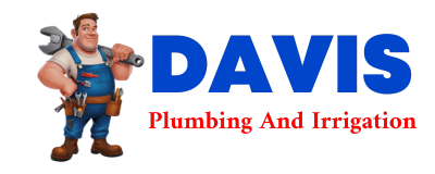 Trusted plumber in BRISCOE